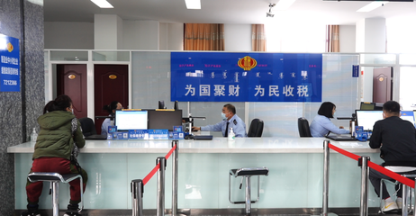 爛漫稅宣月 黨員先鋒便民辦稅“春風(fēng)送達(dá)”